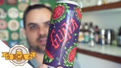 Cerveja com Goiaba – Guava – Colaborativa da Hocus Pocus e Dogma #071