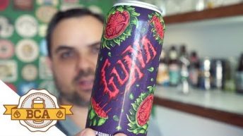 Cerveja com Goiaba – Guava – Colaborativa da Hocus Pocus e Dogma #071