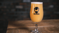 Brewdog muda de importadora no Brasil!