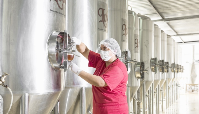 Cervejaria Loba coloca no mercado cerveja produzida com lúpulo nacional (DANIEL MANSUR/STUDIO PIXEL/DIVULGAÇÃO)