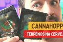 CannaHoppy extrato de Lúpulo e Terpenos na Cerveja – Opinião Sobre Terpenos na Cerveja