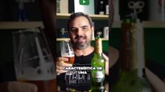 Cerveja refrescante que te faz querer mais um gole