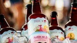 Proa e Graveteiro lançam Catharina Sour colaborativa